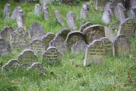 The Pet Cemetery of Hyde Park