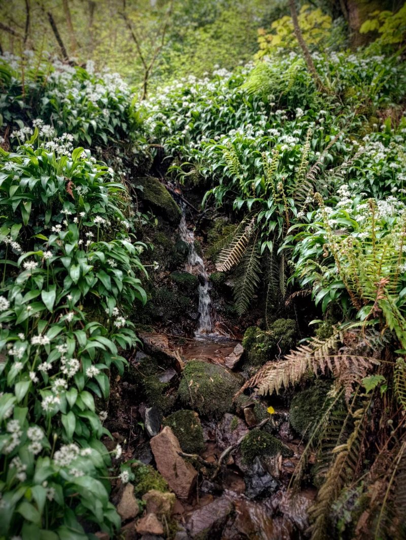Gwaun Waterfall