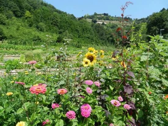 Orto Botanico di Bergamo Lorenzo Rota