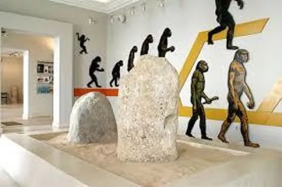 Museu Municipal de Arqueologia