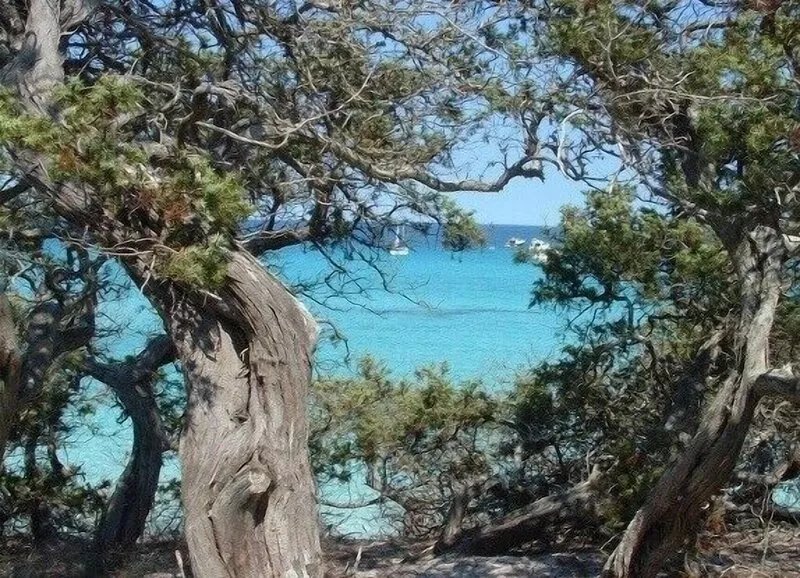 Vast F2 charm sandy beach end 100m private terraces flower garden