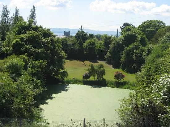 Carrickfergus Golf Club