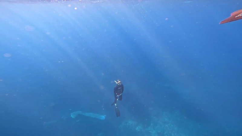 OmniBlue Freedive