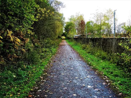 Dunfermline to Alloa Cycle Route