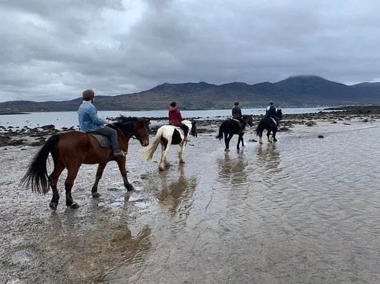 Carrowholly Stables & Trekking Centre