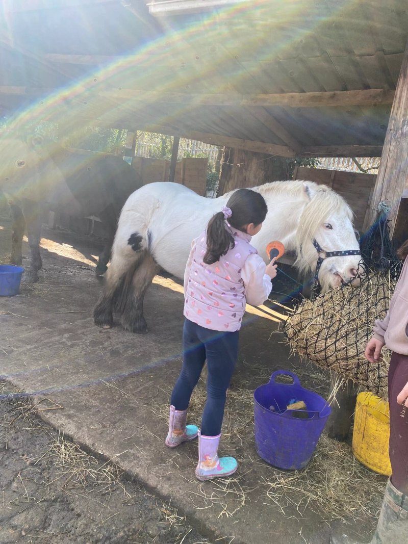 Lower Morden Equestrian Centre