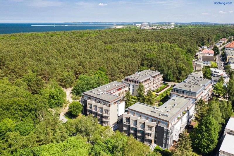 Apartamenty Lesne - Visito