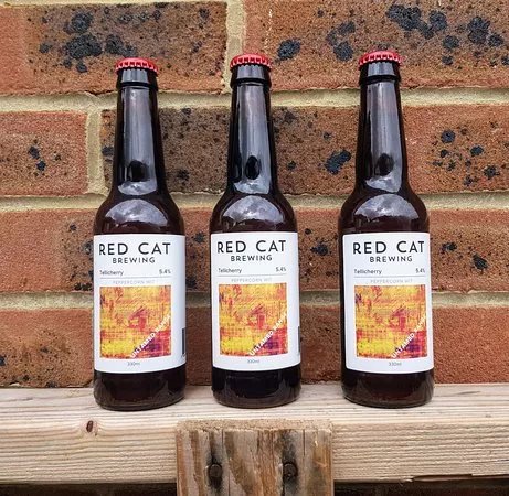 Red Cat Brewing