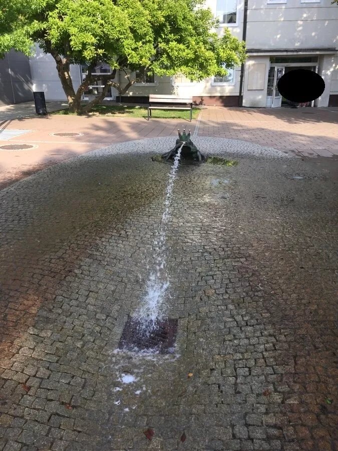 Frosch