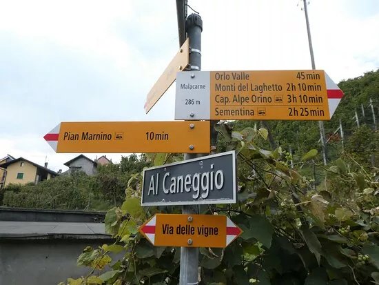 Via Delle Vigne