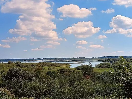 Oostvoornse Meer
