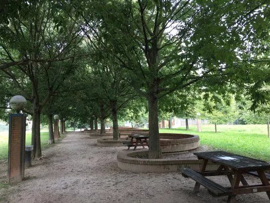 Giardino degli Ulivi di Gerusalemme