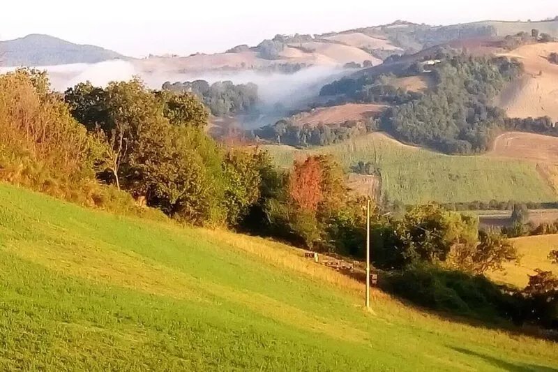 Agriturismo Vecchia Quercia - Apartment "Frontone" for 4-5 people