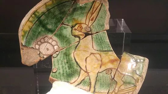 Antiquarium della Motta e Mostra del Fossile di Povoletto