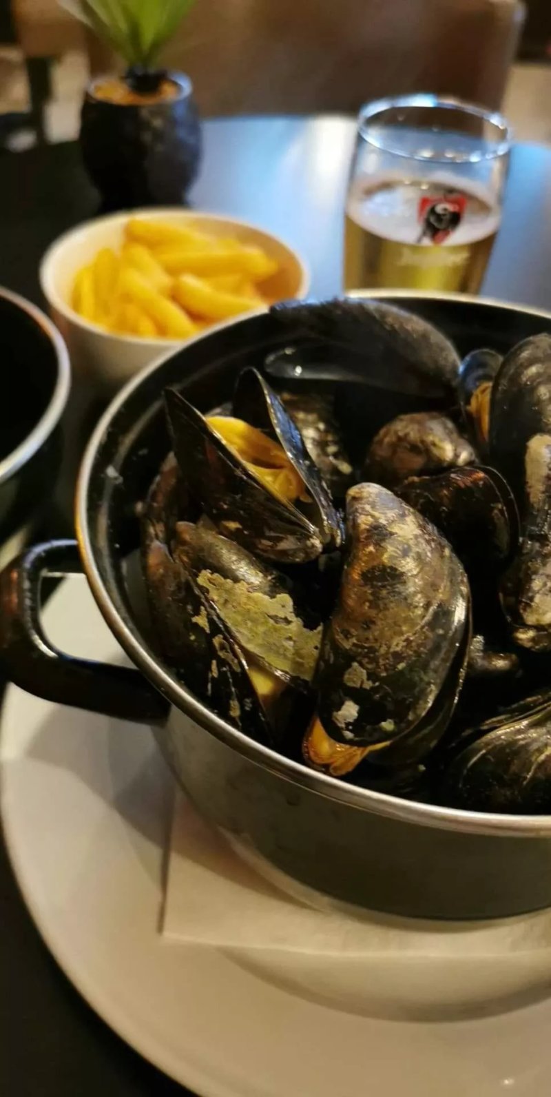 Brasserie Plaisances
