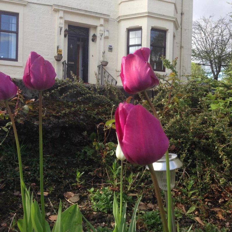 Rosslee Guest House