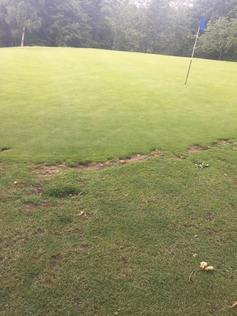 Little Lakes Golf Club