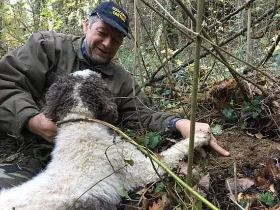 Toscana Tartufi - Truffle Hunting