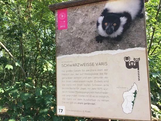 Affenwald