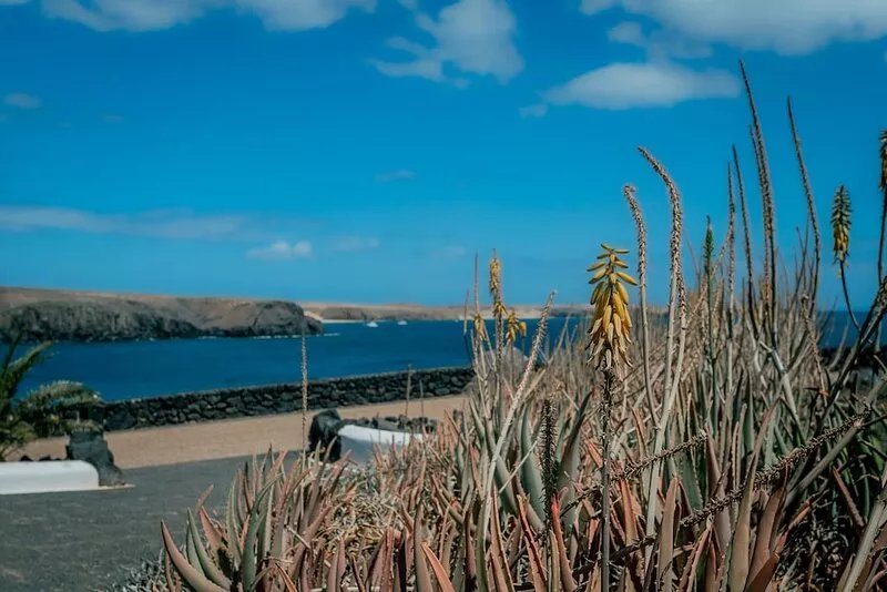 Casa Roper is a lovely villa located near to Marina Rubicon.