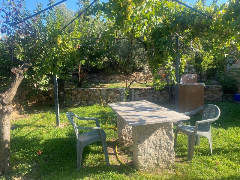 B&B Pettirosso Garden