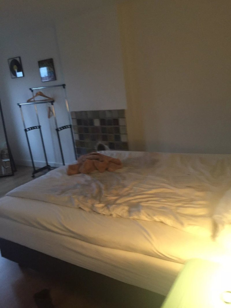 Checkmate Bed & Breakfast