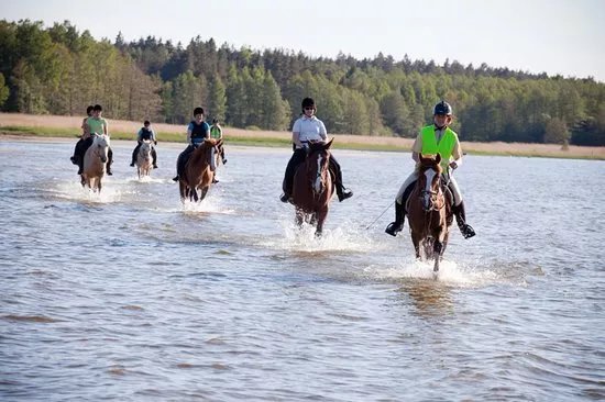 Kuusekannu Riding Farm