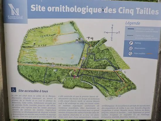 Site Ornithologique des Cinq Tailles