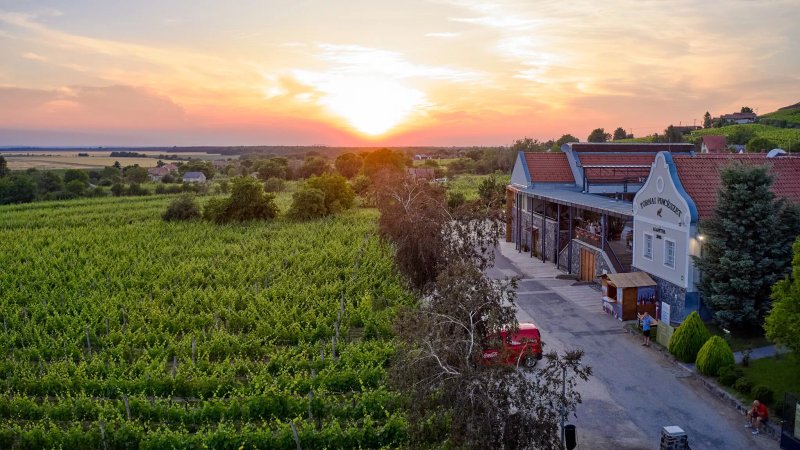 Tornai Winery-somlo