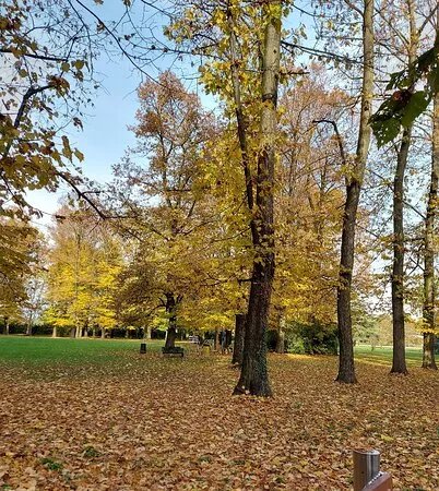 Parco Vita