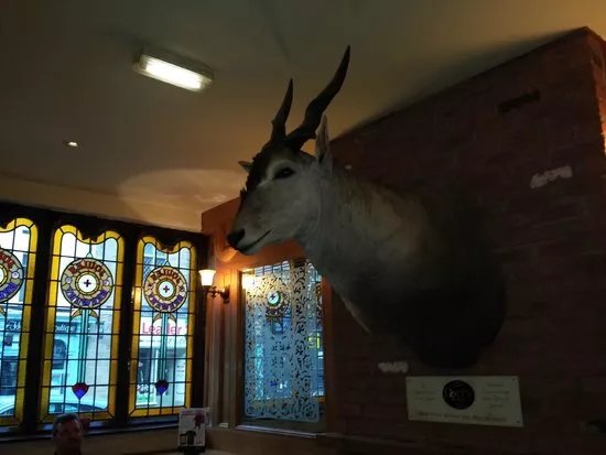 The Royal Oak