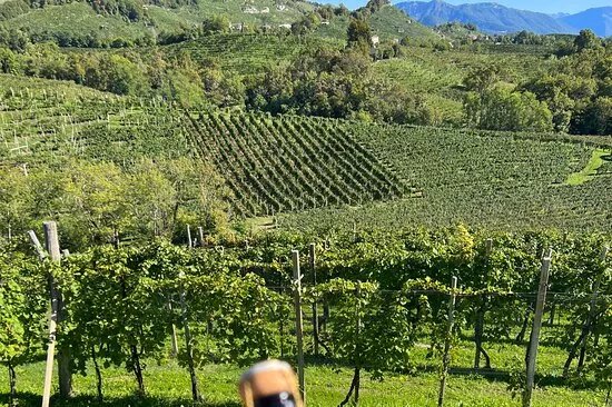 Explore Wine Italy