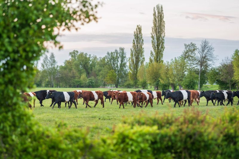 Boerderij De Houberg