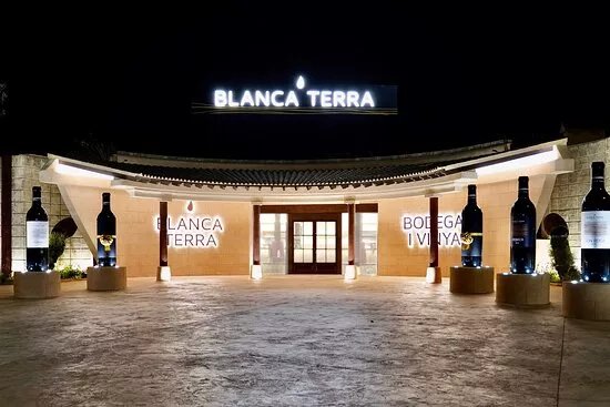 BODEGA BLANCA TERRA