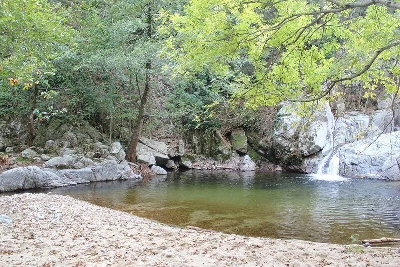 Cévenol cottage in the countryside close to Anduze, and the bamboo plantation