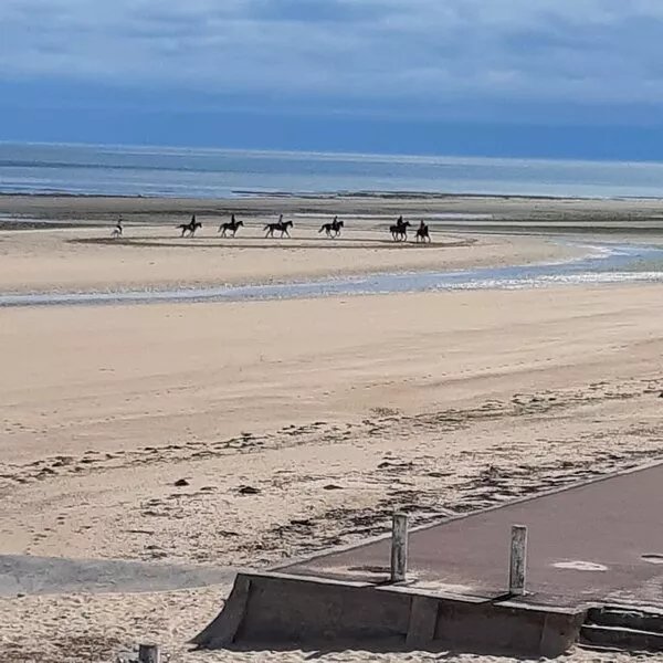 Beachfront apartment on Juno Beach