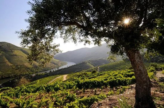 Douro Kayak Expeditions