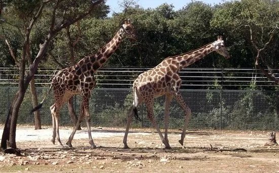 Parc de Lunaret - Zoo de Montpellier