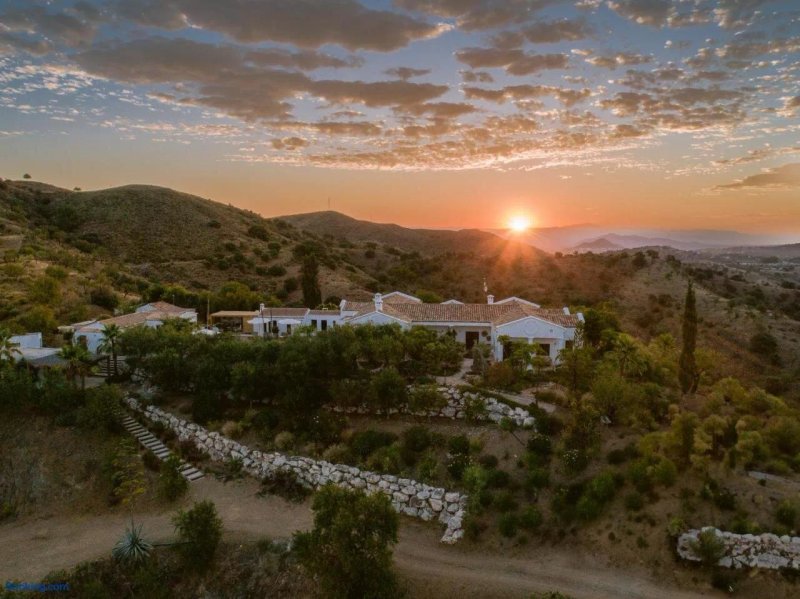 San Roque Suites de Monda