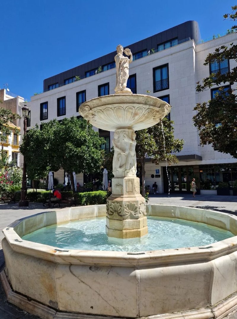 Fuente De La Plaza De La Magdalena