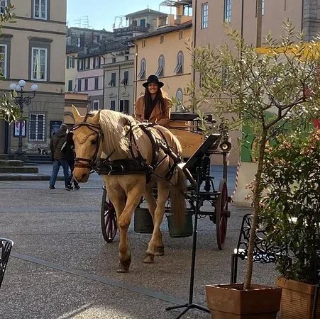 Lucca Horse Carriage