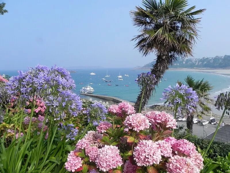 ** Superb sea view ** in a 4-room comfort apartment, direct access to the