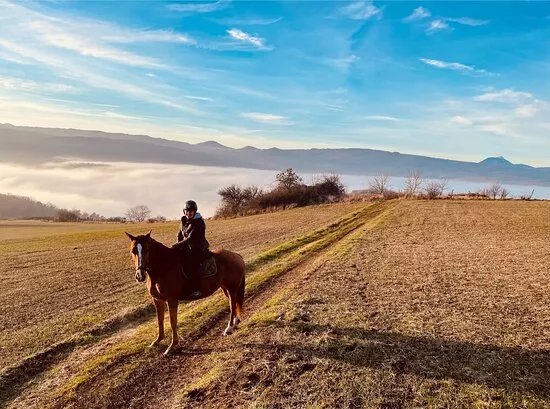 Espace equestre de Lapiota