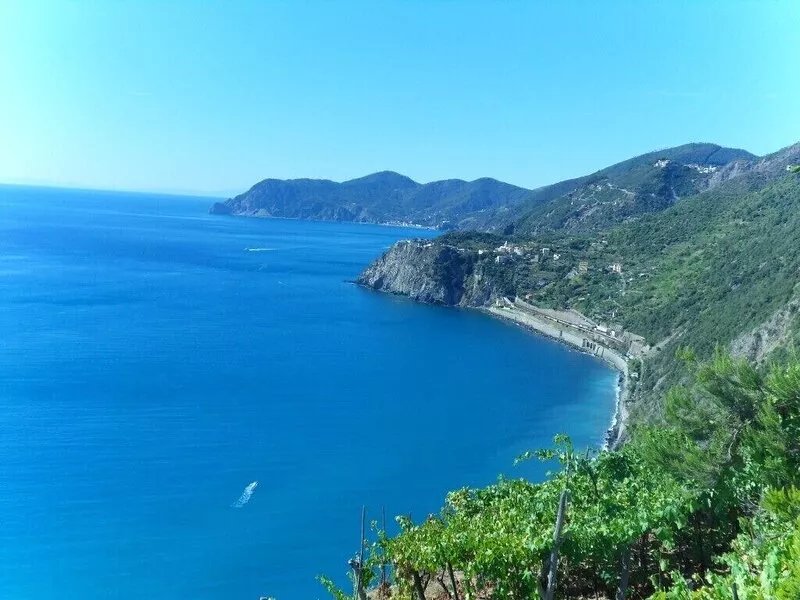 B&B Il Vigneto with sea view in the Cinque Terre National Park
