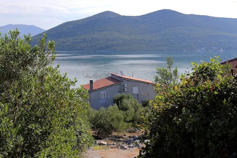 One bedroom apartment near beach Žuronja, Pelješac (A-10123-c)