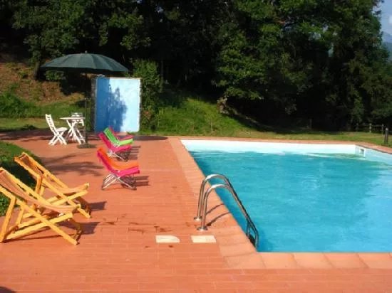 Il Glicine e la Lanterna