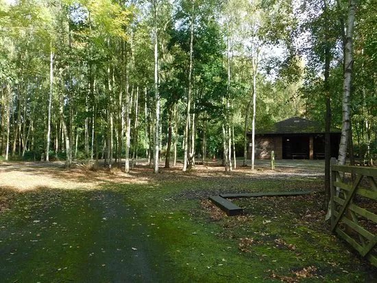 Skylark Centre and Barlow Nature Reserve