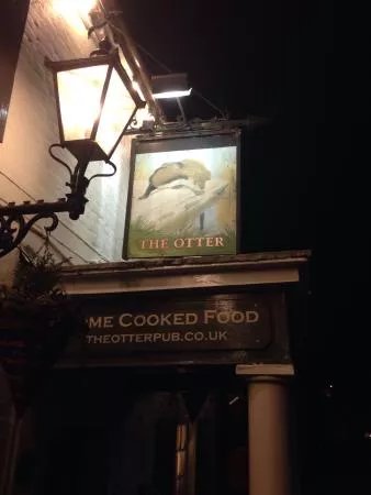 The Otter