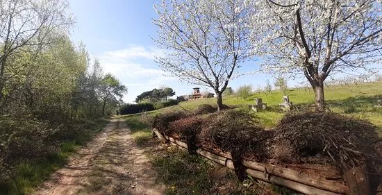 Cressa Sant'antonino - Tra Sentieri e Vigneti