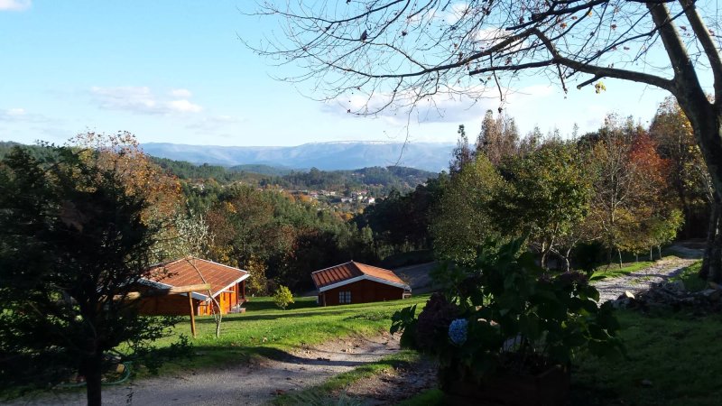 Quinta d'Alijo